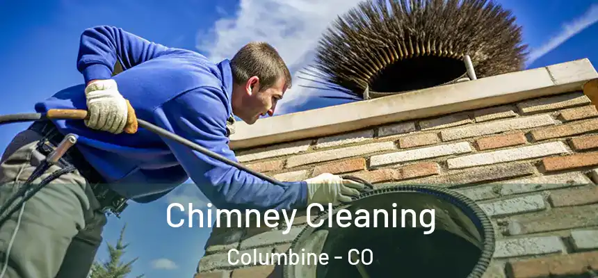  Chimney Cleaning Columbine - CO