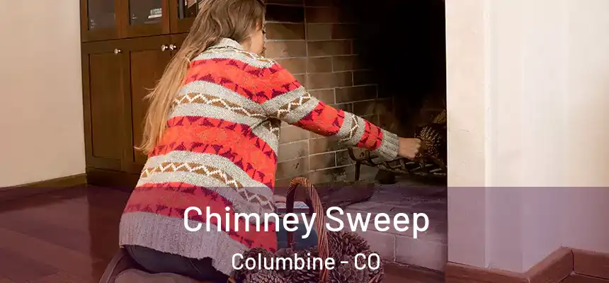  Chimney Sweep Columbine - CO