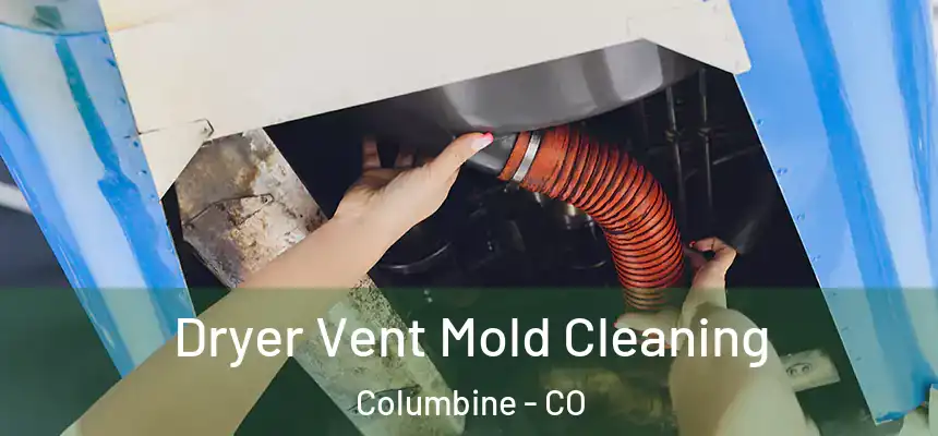 Dryer Vent Mold Cleaning Columbine - CO