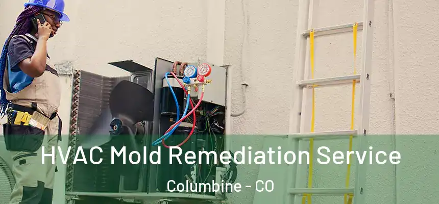  HVAC Mold Remediation Service Columbine - CO