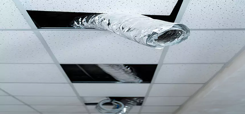 Affordable HVAC Sanitizing After Pest Removal in Columbine