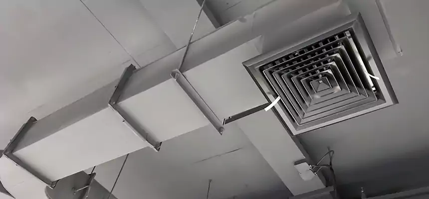 Restorative Allergy Relief Vent Cleaning – Coil, Blower & Housing Detail in Columbine