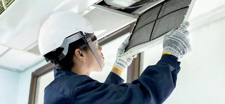 Our Mold & Mildew Removal from Air Ducts Services in Columbine, CO