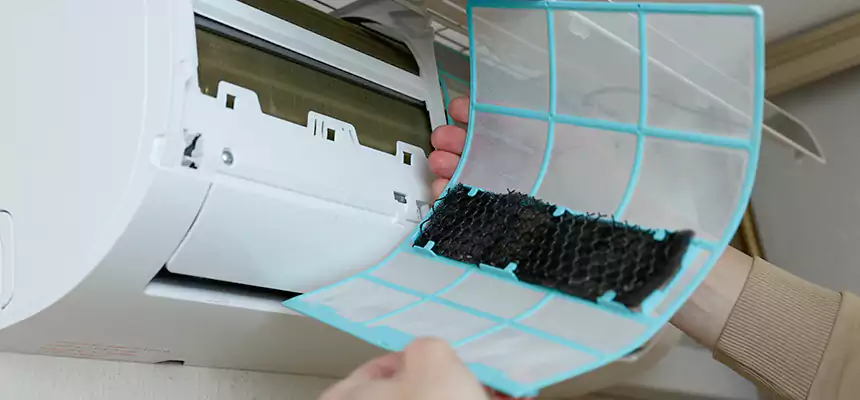 Gentle Ductwork Odor-Control Pet Dander Duct Cleaning in Columbine, CO