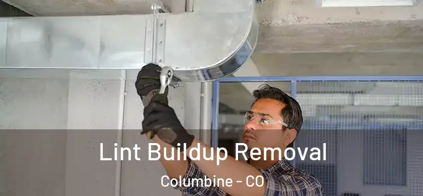 Lint Buildup Removal Columbine - CO