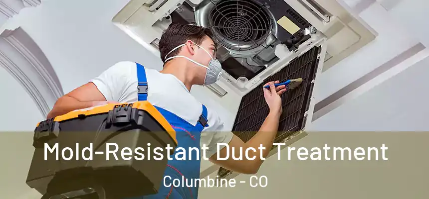  Mold-Resistant Duct Treatment Columbine - CO