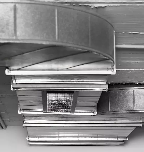 Professional Air Duct Pet Hair Removal in Columbine, CO