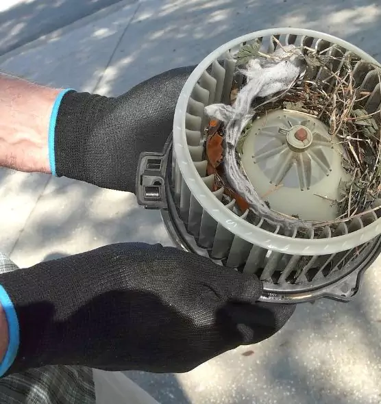 About Air Duct Rat Removal in Columbine, CO