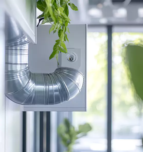 Professional Eco-Safe Dryer Vent Cleaning in Columbine, CO