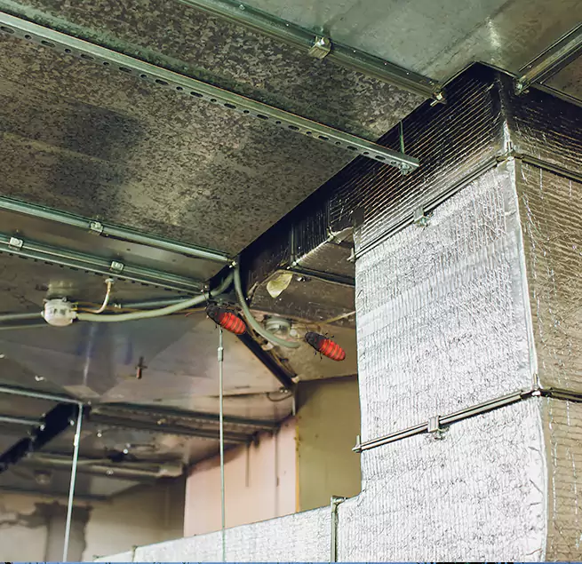 Why Homeowners & Businesses Trust Us in Columbine, CO?