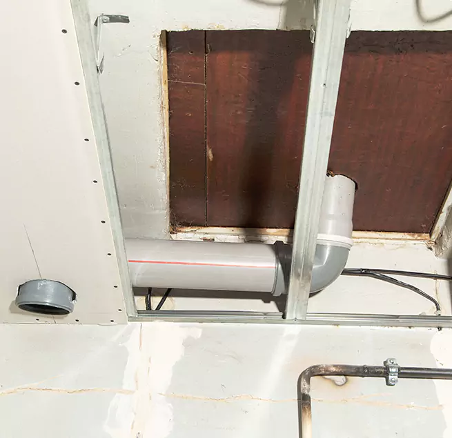 Why Homeowners & Businesses Trust Us in Columbine, CO?