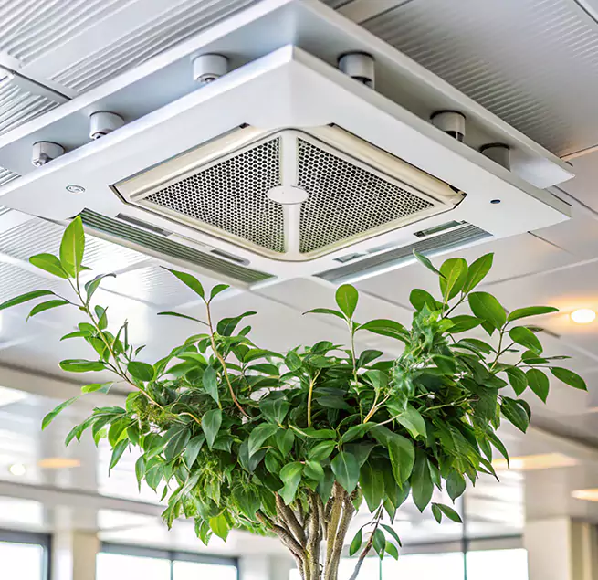 Why Homeowners & Businesses Trust Us in Columbine, CO?