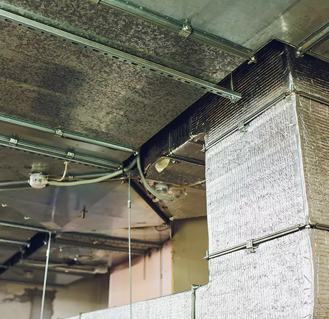 Why Homeowners & Businesses Trust Us in Columbine, CO?