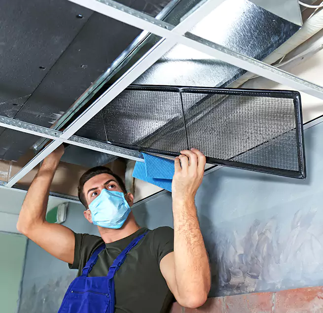  Why Homeowners Businesses Trust Us  in Columbine, CO?